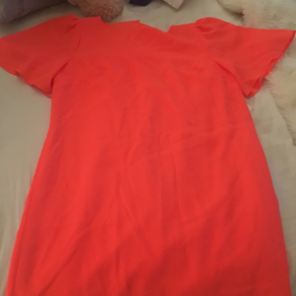 Giani Bini - image 1